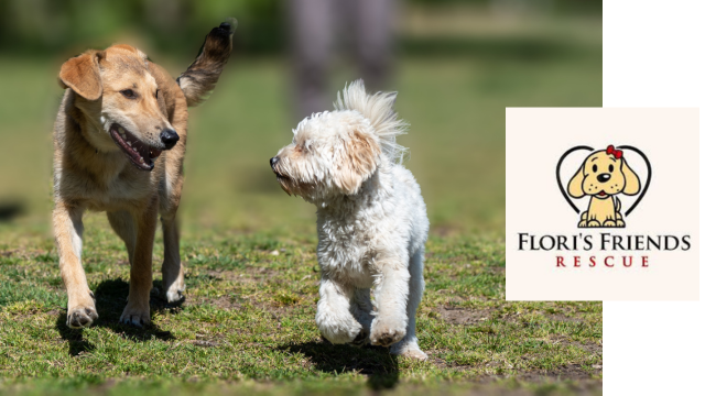 AirisQ Charity of the Quarter Donation | July 2024