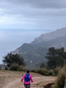 View from the top