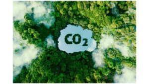 Carbon Reduction