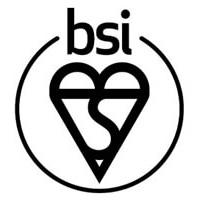 BSI standards logo